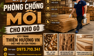 Bí quyết phòng chống mối cho kho gỗ 