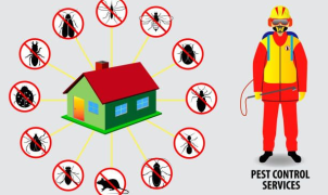 Tại sao phải duyệt côn trùng định kỳ 