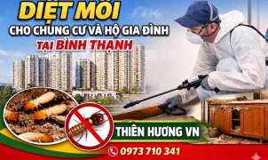 Diệt mối cho chung cư và hộ gia đình tại Bình Thạnh