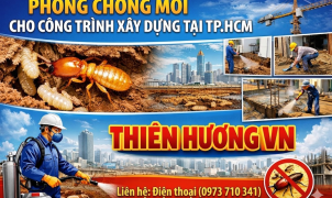 Phòng chống mối cho công trình xây dựng tại TPHCM