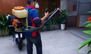 Diệt mối Quận Tân Phú