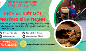 Dịch vụ diệt mối Quận Bình Thạnh