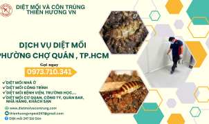 Dịch vụ diệt mối phường Chợ Quán, TP.HCM