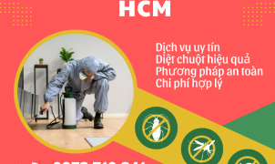 Dịch vụ diệt chuột uy tín tại HCM