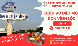 Dịch vụ diệt mối KCN Vĩnh Lộc