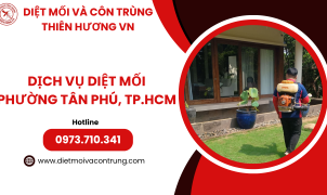 Dịch vụ diệt mối phường Tân Phú, TP.HCM