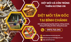 Diệt mối tận gốc tại Bình Chánh