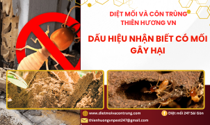 Dấu hiệu nhận biết có mối gây hại 