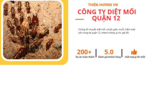 Công ty diệt mối quận 12